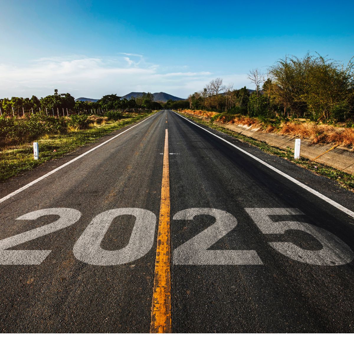 Make Your 2025 New Year’s Resolution a Reality! (2)